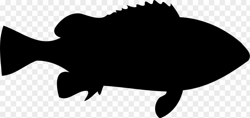 Fish Stencil Clip Art PNG