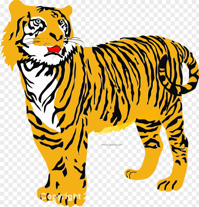 Tiger Clip Art Desktop Wallpaper Free Content Openclipart PNG