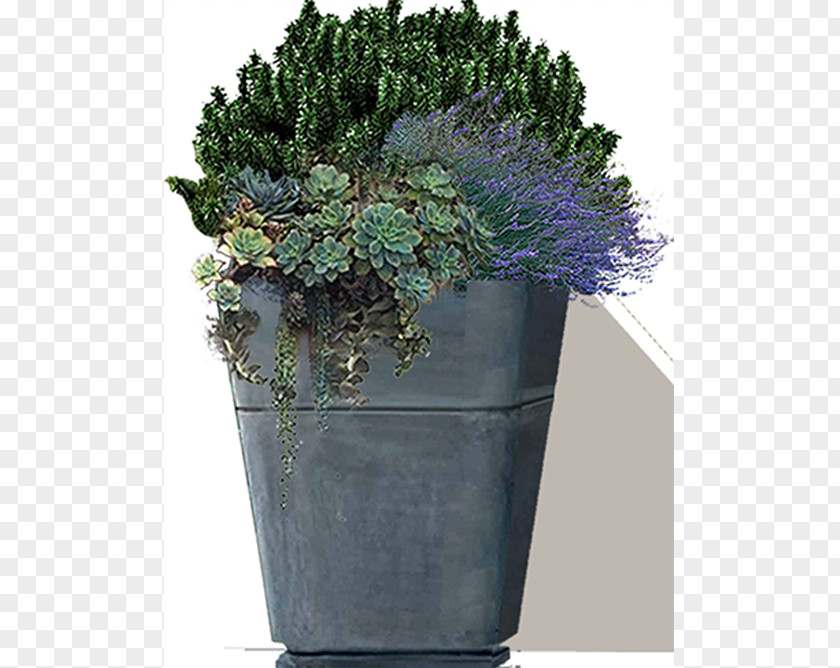Tree Houseplant Flowerpot Herb Shrub PNG