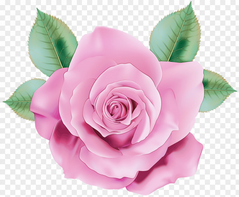 Artificial Flower Rose Order Watercolor Pink Flowers PNG