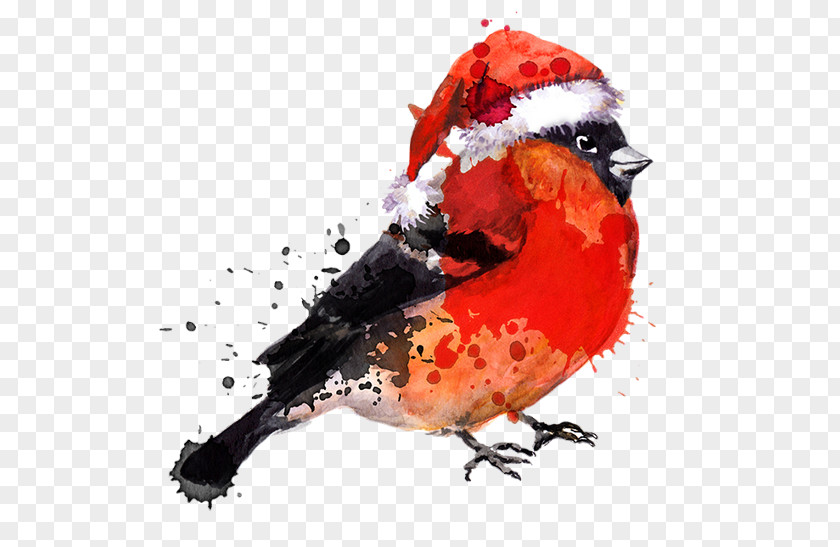 Bird Watercolor Painting Drawing PNG