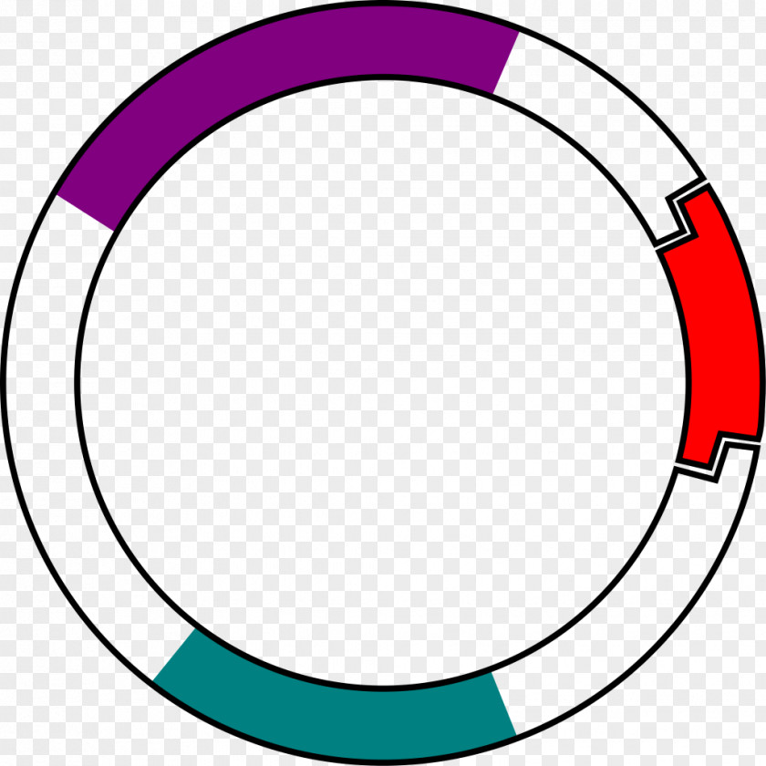 Gene Vector The Selfish Plasmid Selectable Marker Reporter PNG