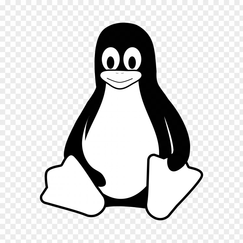 Linux Tux Racer PNG