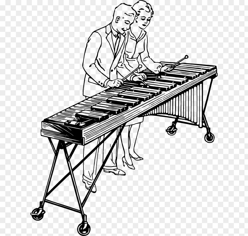 Musical Instruments Marimba Drawing Xylophone PNG