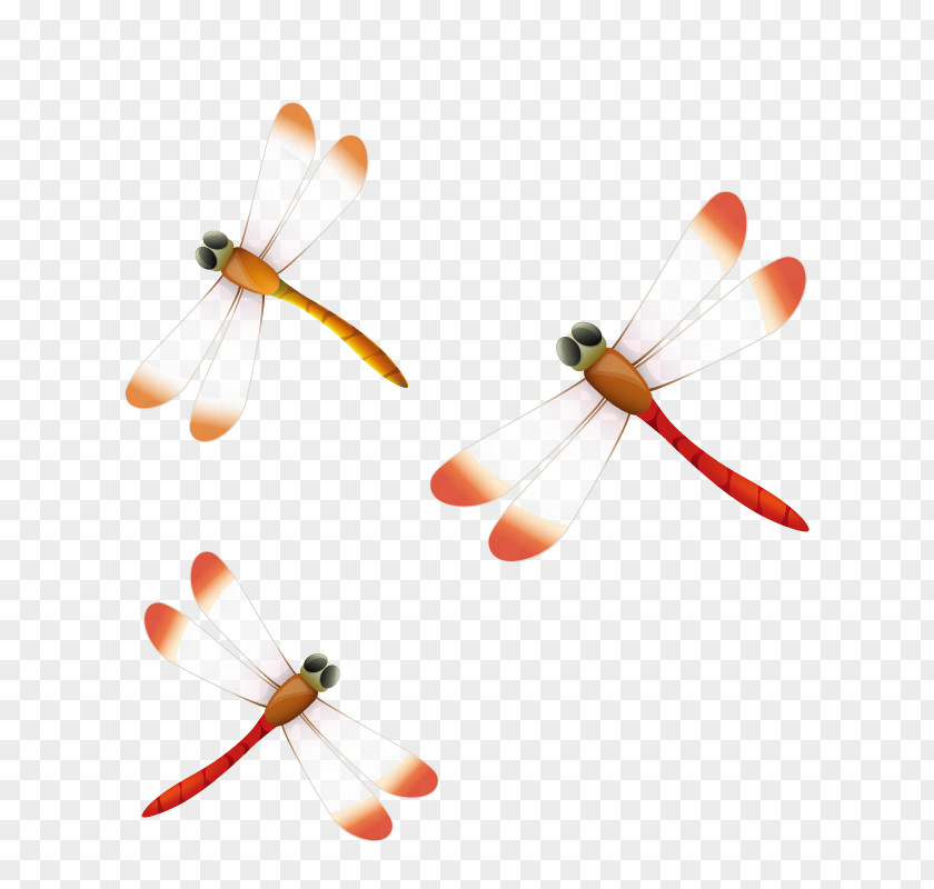 Red Dragonfly Clip Art PNG