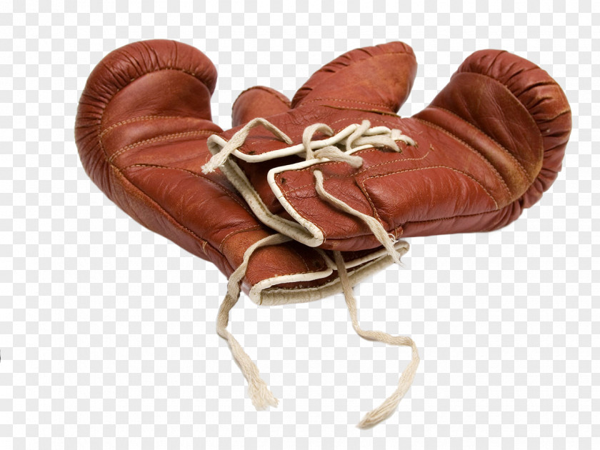 Boxing Professional Boxer Glove Heavyweight PNG