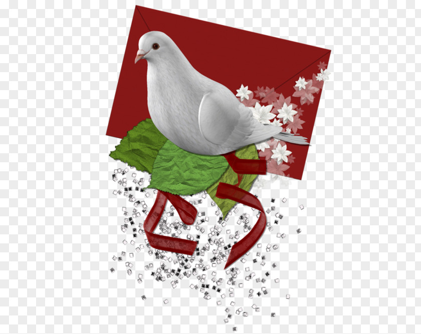 Christmas Beak Ornament Love Letter Clip Art PNG