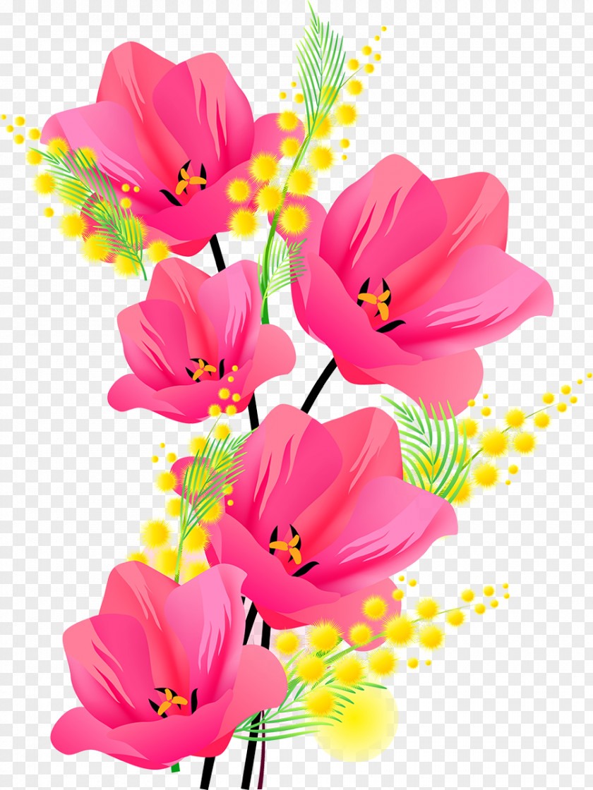 Cosmos Flower Photography Clip Art PNG