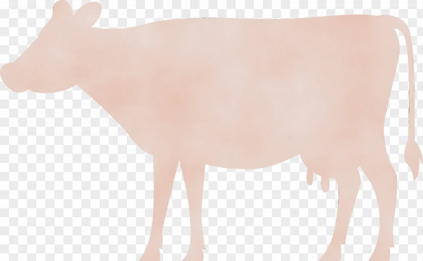 Ox Joint Goat Snout Tail PNG