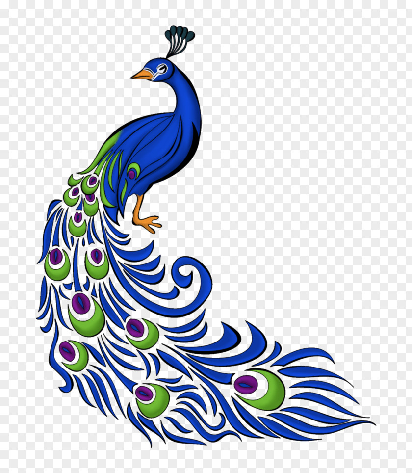 Peacock Drawing Peafowl Clip Art Image Vector Graphics PNG