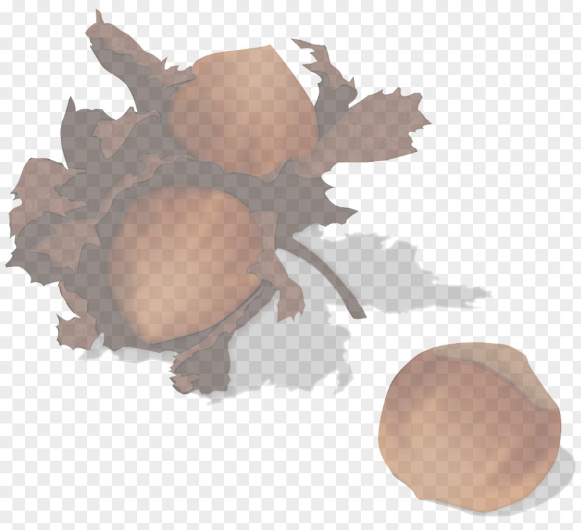 Plant Tree Egg PNG