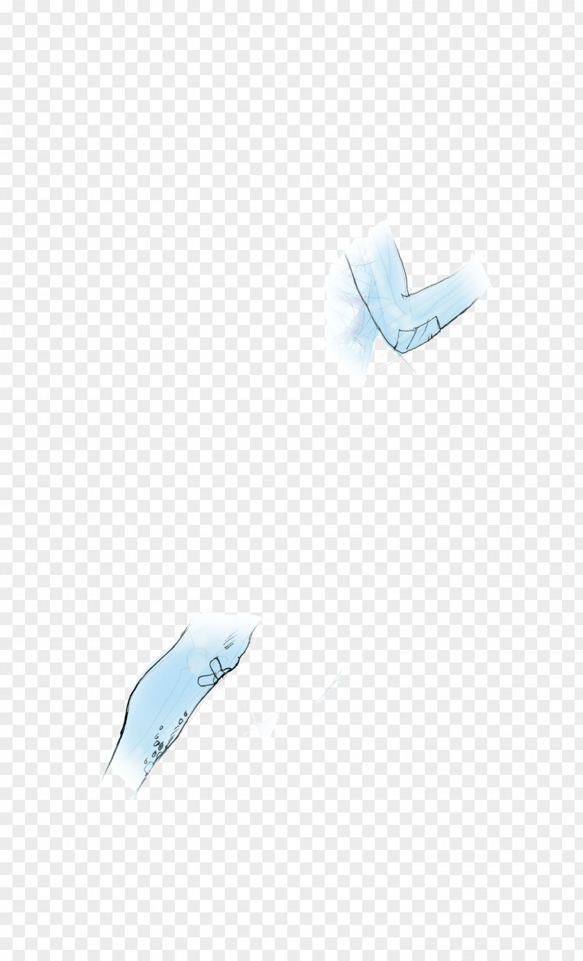 Airplane Porpoise Cetacea PNG