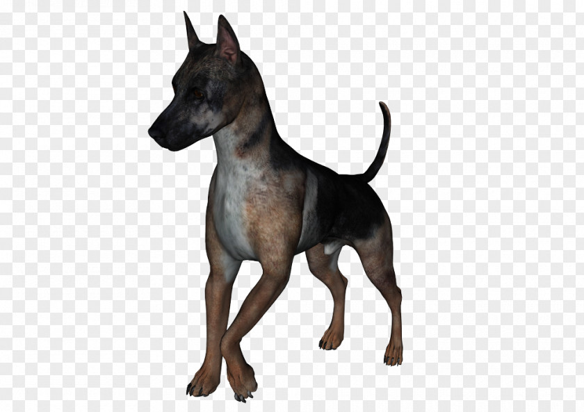 Bi Graphic Dog Breed Toy Manchester Terrier English Formosan Mountain PNG