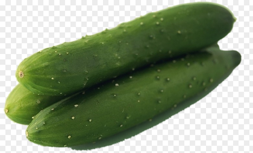 Cucumber Pickled Spreewald Gherkins Ivy Gourd PNG