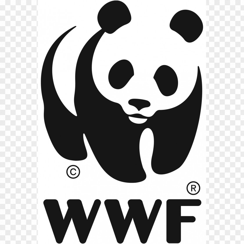 Dragon Nest Logo World Wide Fund For Nature WWF Madagascar Conservation Adria PNG