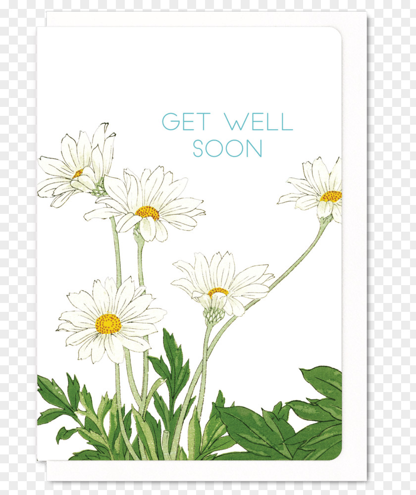 Get Well Soon Common Daisy Paper Art Floral Design Flower PNG