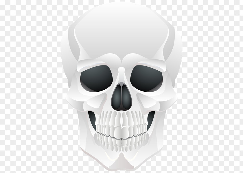 King Skull Clip Art PNG