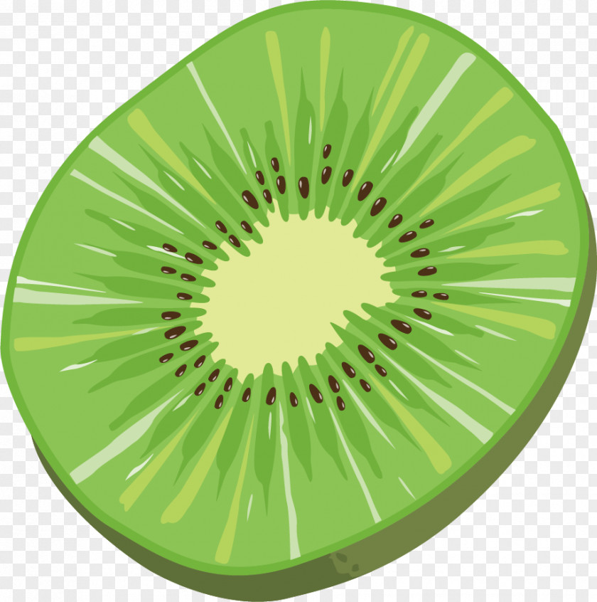 Kiwi Effect Element Vector Material Free Dig Navajo Nation Kiwifruit PNG