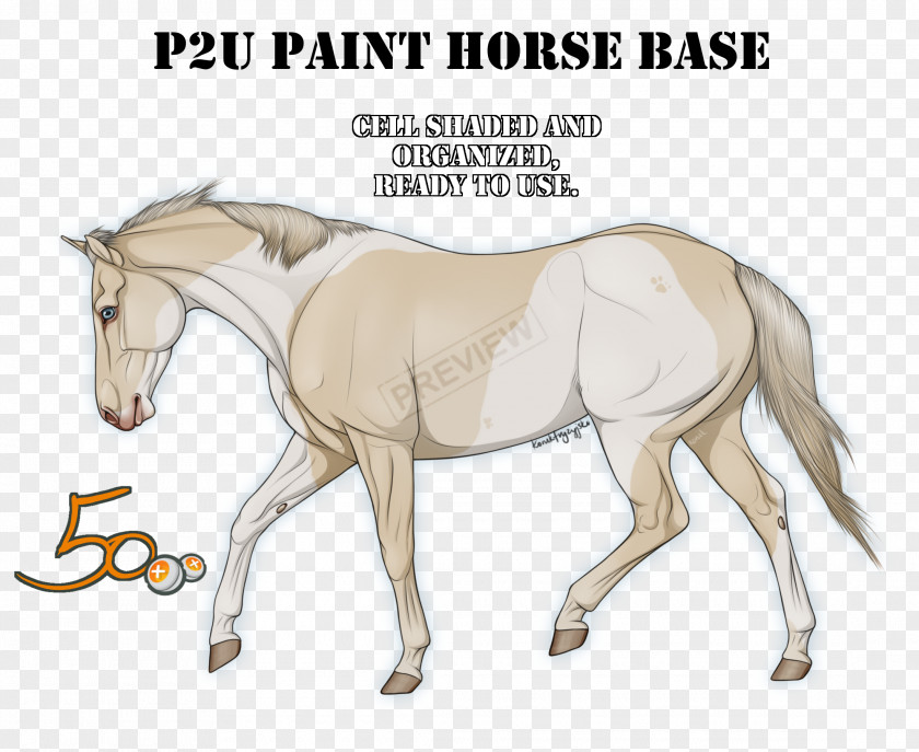 Mustang American Paint Horse Mane Pony Foal PNG