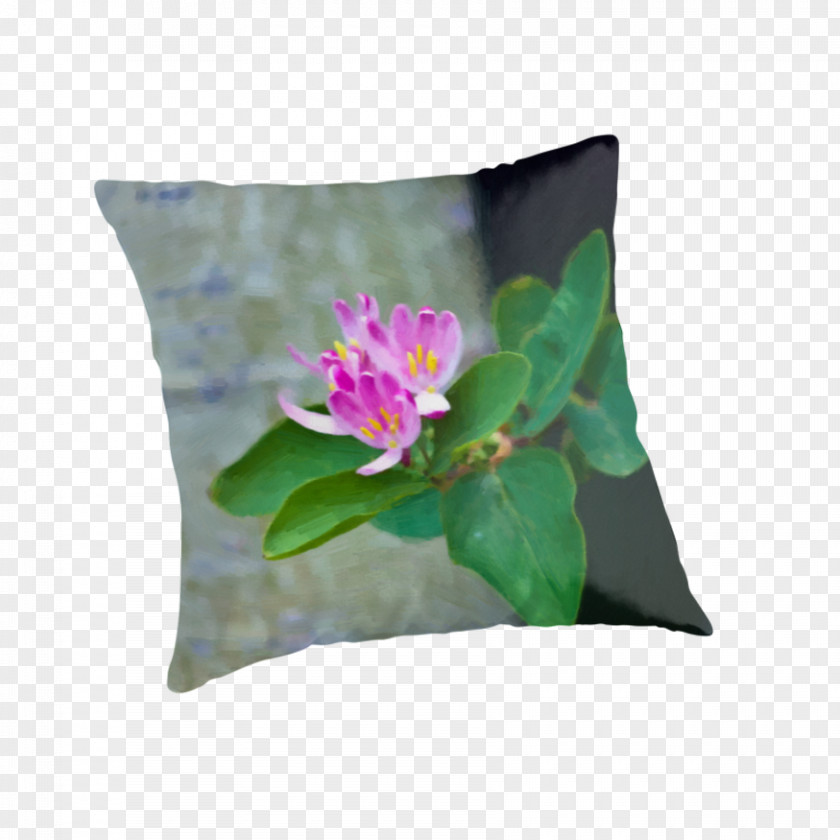 Pillow Throw Pillows Cushion Cupcake Kavaii PNG