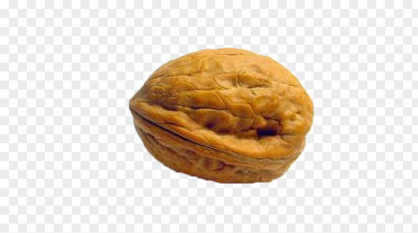 Real Walnut English Franquette PNG