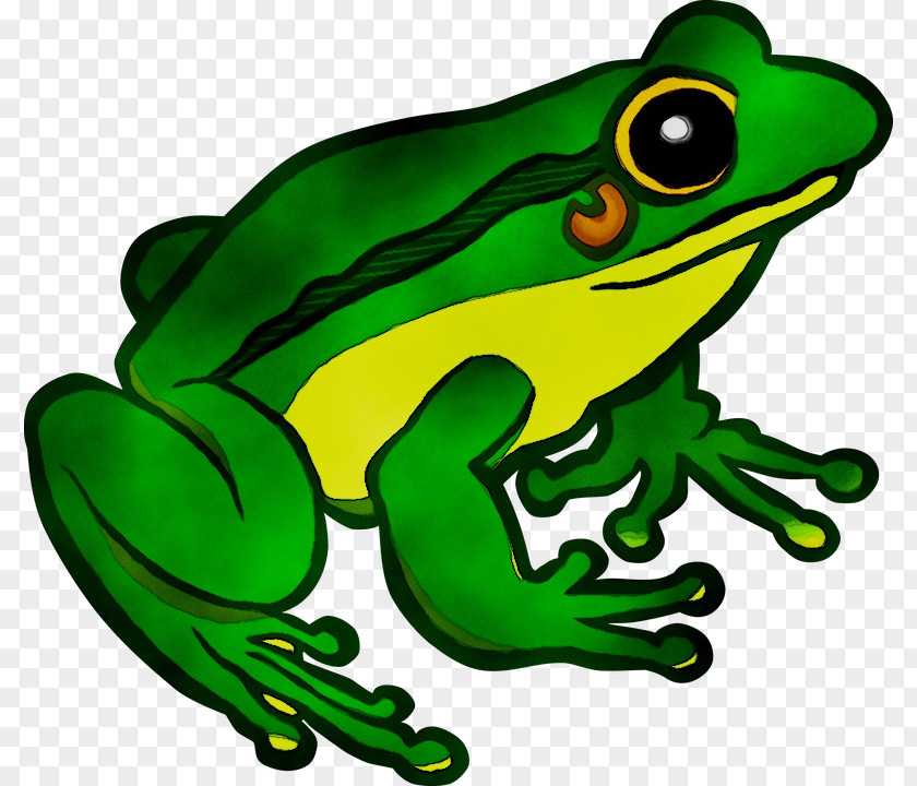Toad Flying Frog Clip Art Image PNG
