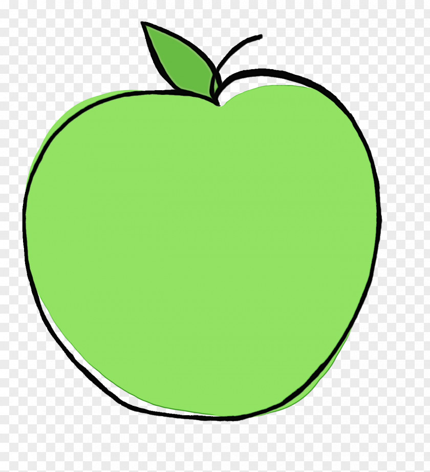 Tree Plant Green Leaf Apple Granny Smith Clip Art PNG