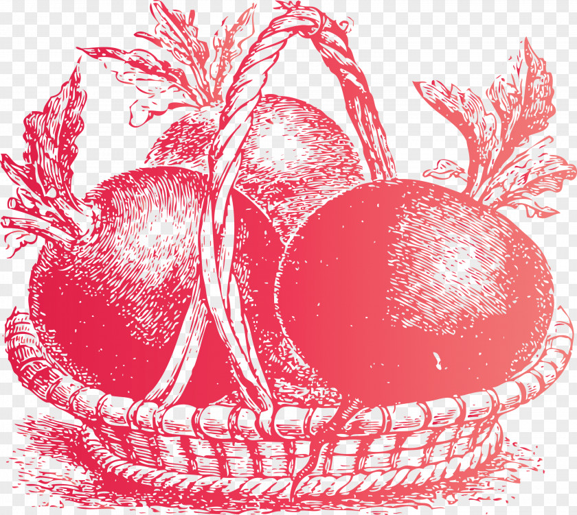 Vegetable PNG