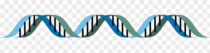 Dna Strand The Double Helix: A Personal Account Of Discovery Structure DNA Epigenetics Biology PNG