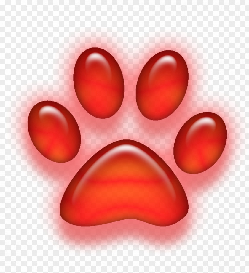 Dog Paw Devon Rex Desktop Wallpaper Clip Art PNG