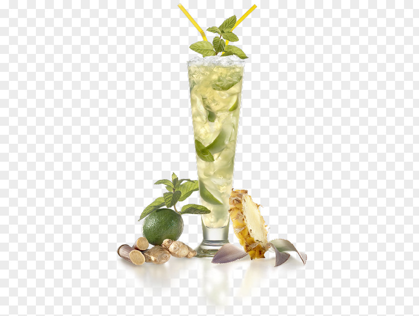 Jus D'ananas Mojito Rum Cocktail Garnish Punch PNG
