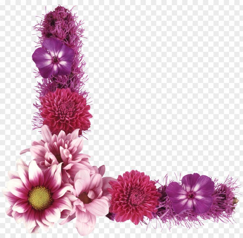 Flower Dahlia Photography Magenta Purple PNG