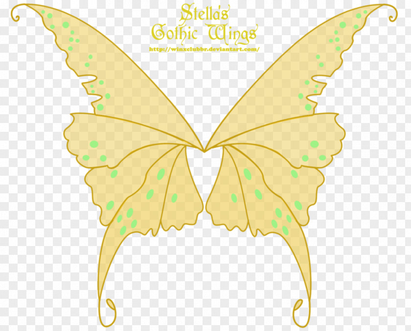 Gothic Style Brush-footed Butterflies Pieridae Moth Graphics Illustration PNG