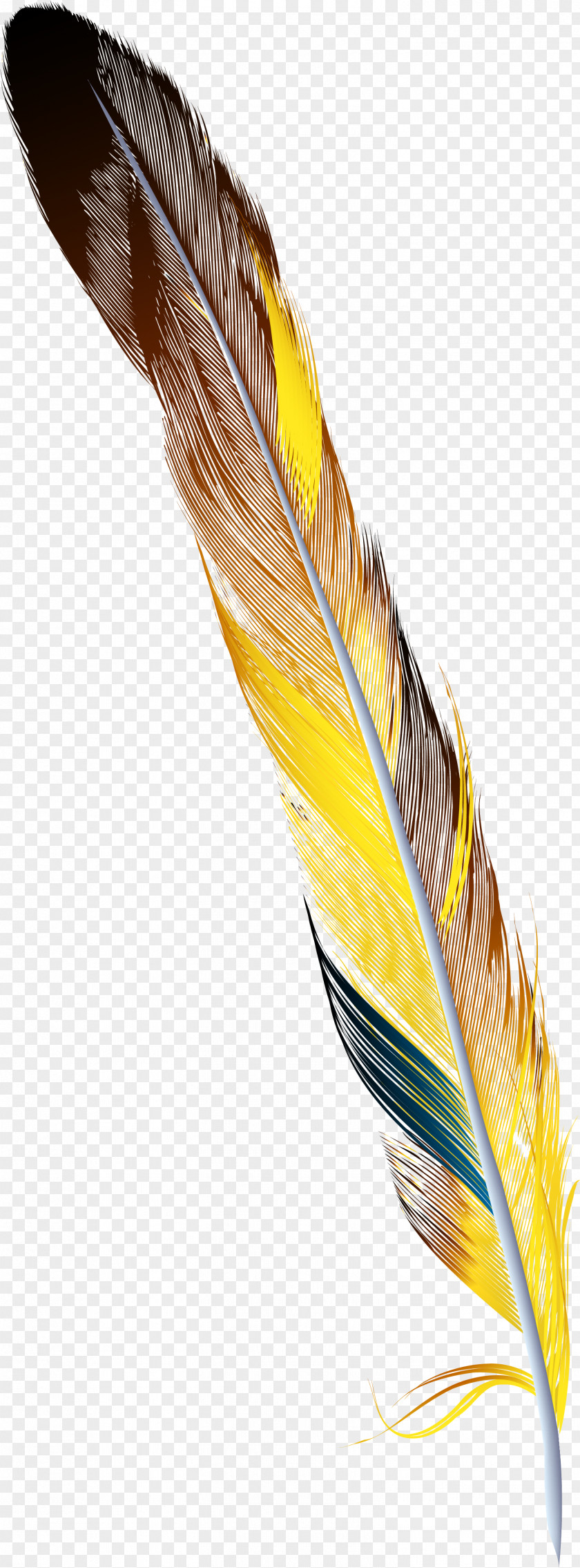 Hand Painted Colorful Feather Drawing PNG