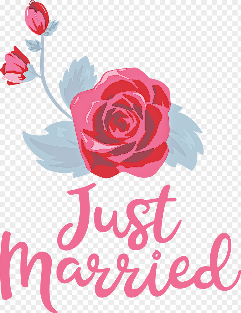 Just Married Wedding PNG