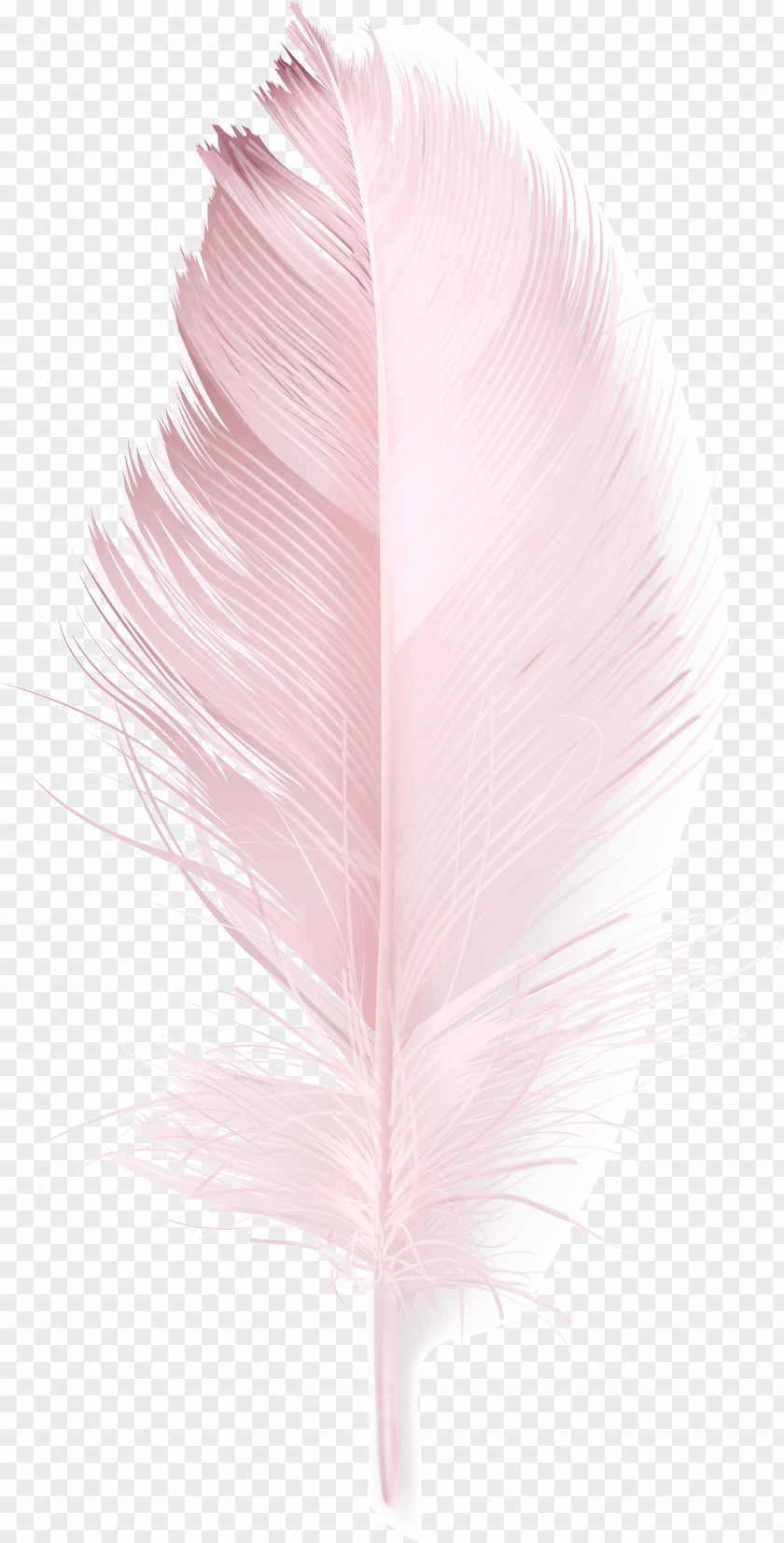 Pink Feather Download Duck PNG