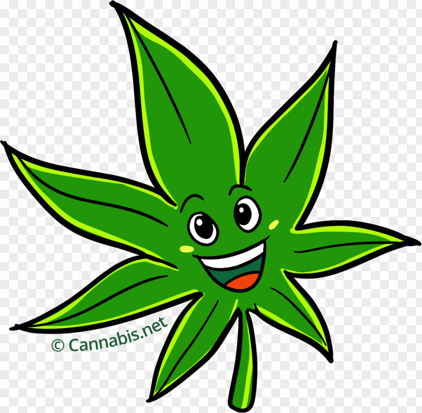 Cannabis Kush Sativa White Widow Cartoon PNG