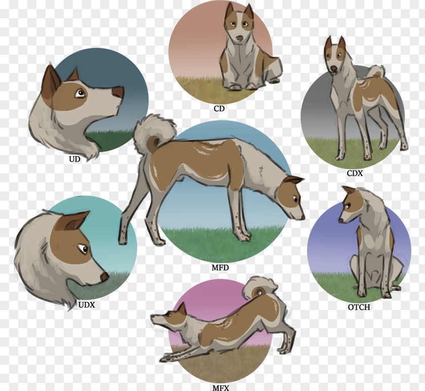 Cat Dog Horse Clip Art PNG