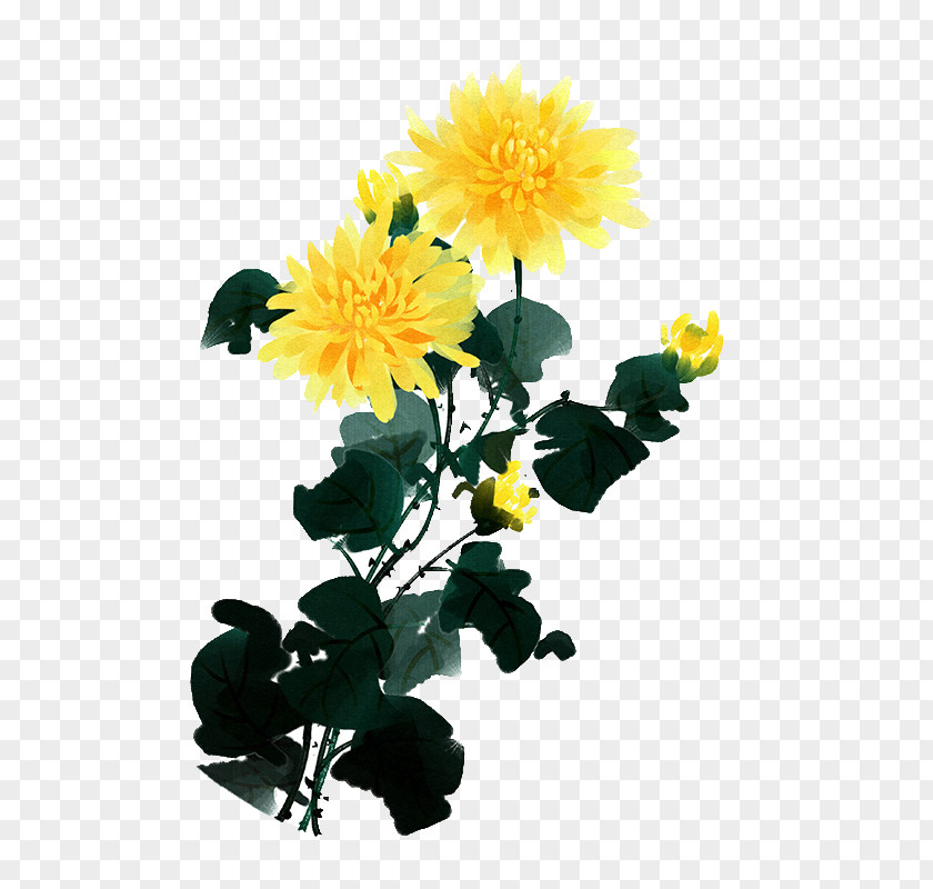 Chrysanthemum Indicum Flower Diding Plum Blossom Four Gentlemen PNG