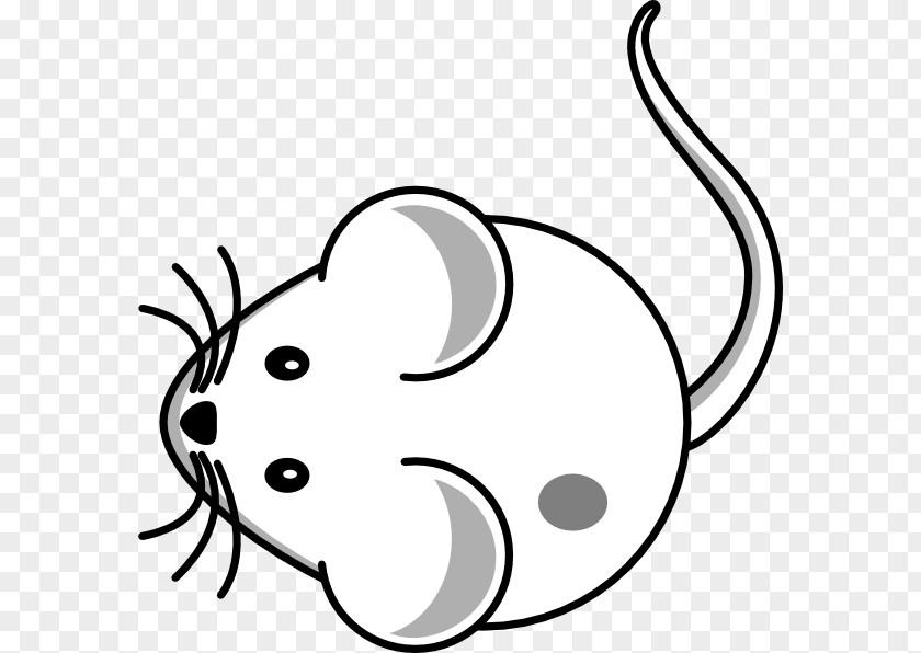 Computer Mouse Whiskers Drawing Clip Art PNG