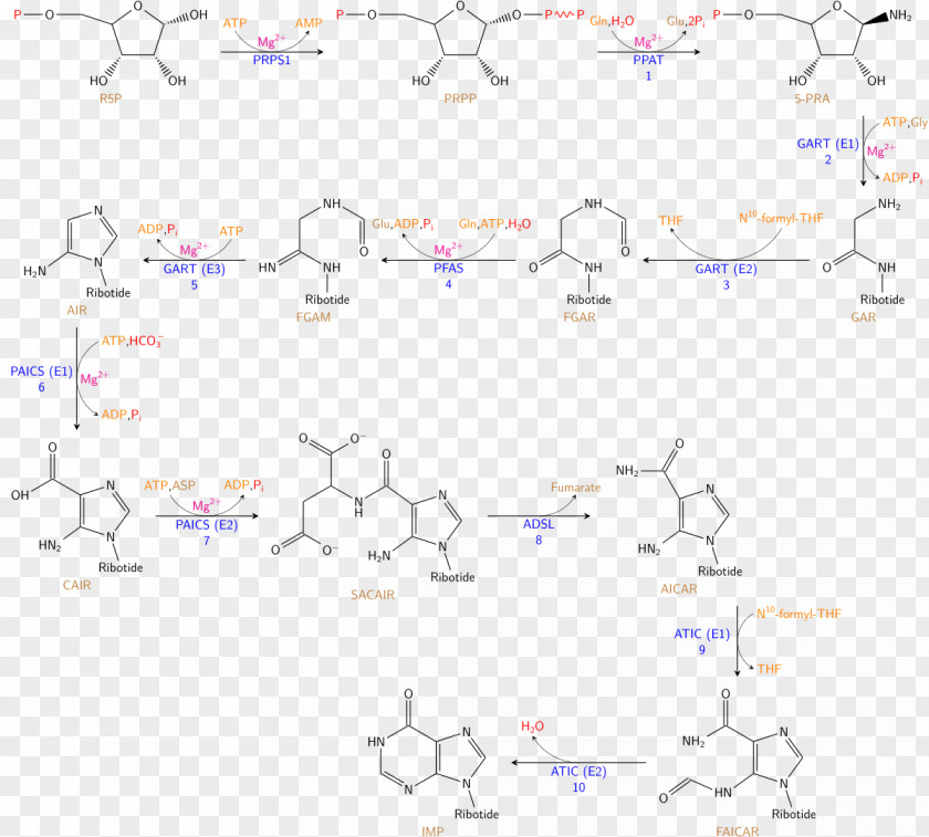 Enzyme Chemical Synthesis Biosynthesis Aqueous Solution Solid-phase PNG