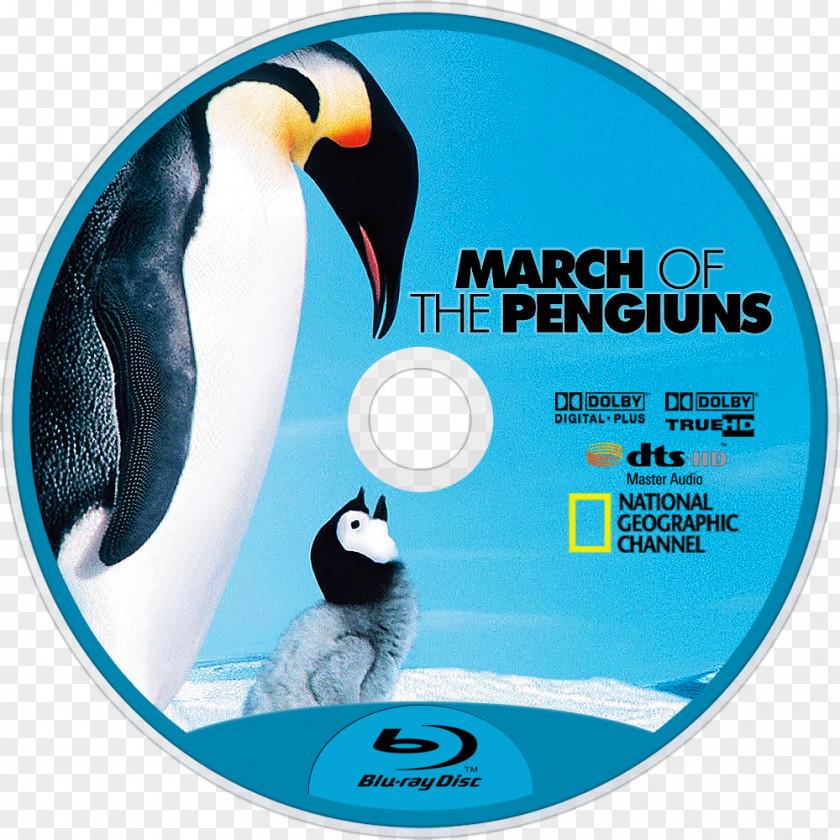 Penguin March Of The Penguins Documentary Film Emperor PNG