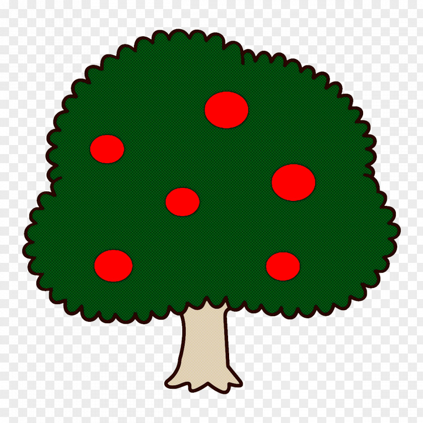 Plant Tree PNG