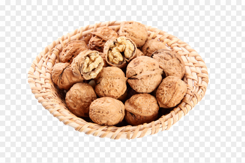 A Walnut Eating Food Nutrition PNG