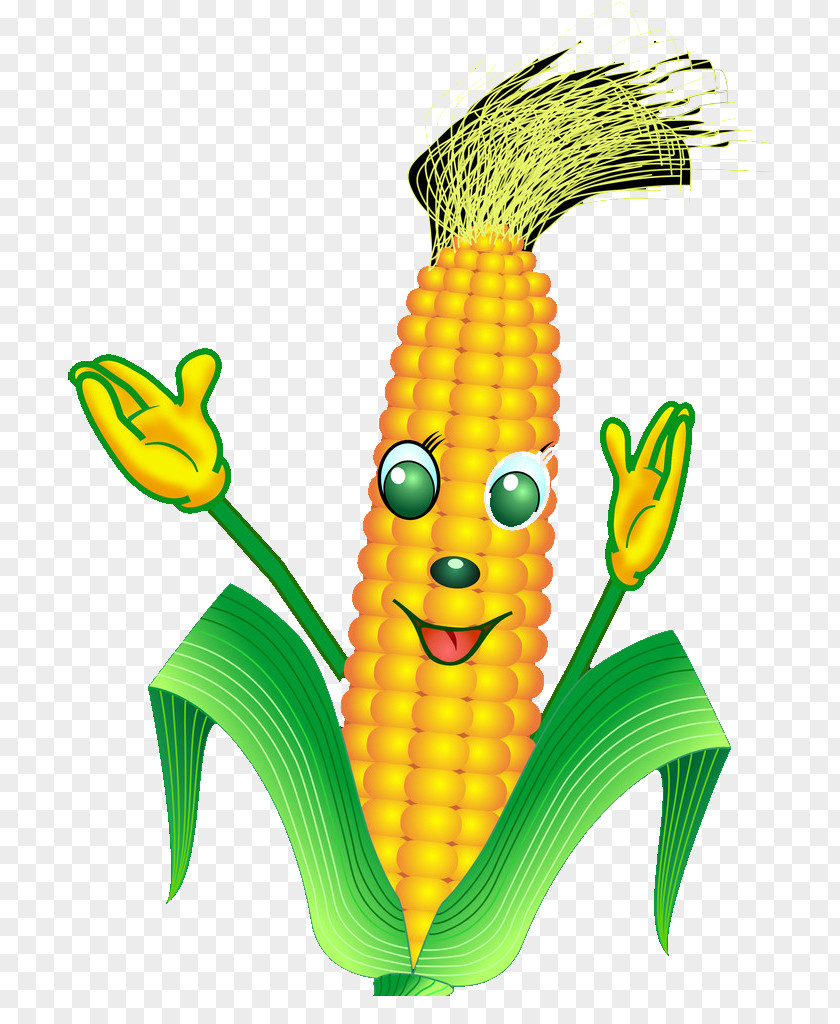 Corn On The Cob Cartoon Maize PNG