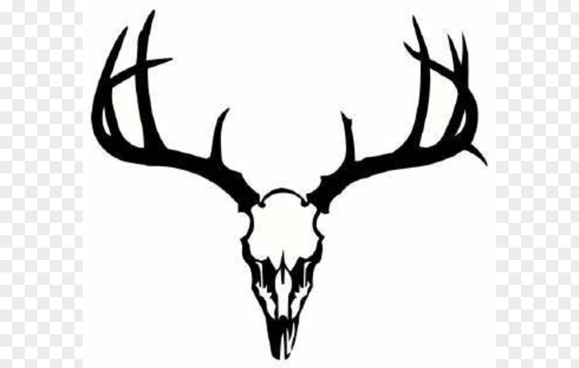 Free Deer Pictures White-tailed Tattoo Skull Clip Art PNG