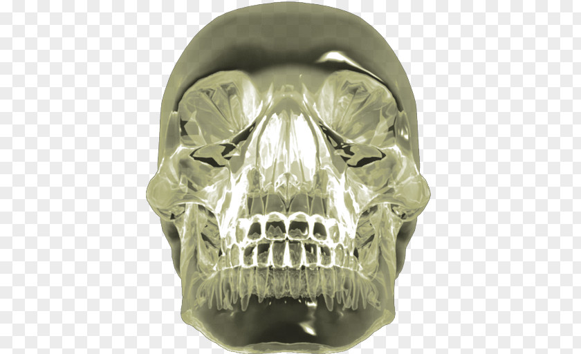 Indiana Crystal Skull Jones Quartz PNG