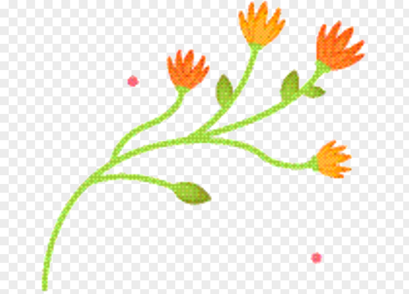 Pedicel Plant Flower Stem PNG