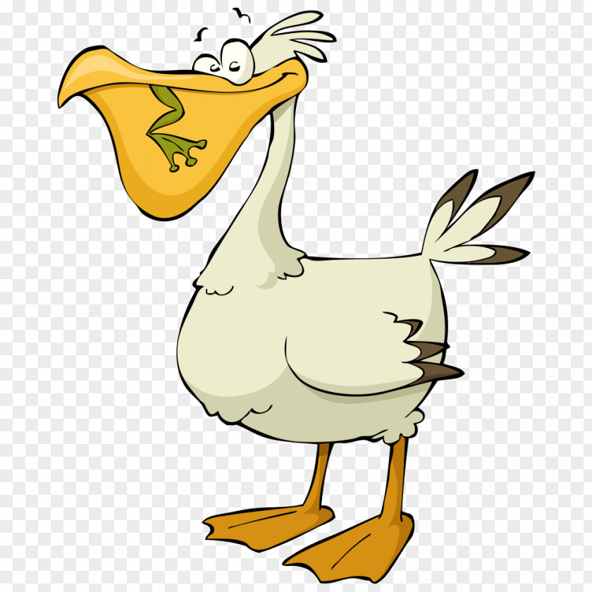 Vector Ducklings Pelican Cartoon Stock Illustration PNG