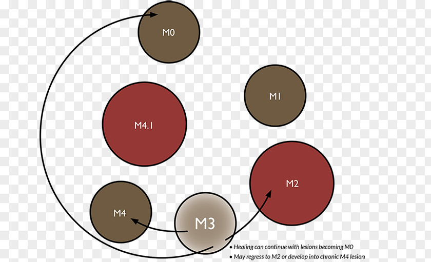 Design Brand Circle PNG